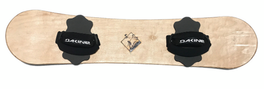 Rental: Sand Boards (Full Day)